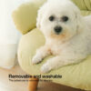 best dog bed material