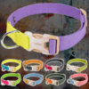 breakaway dog collar breakaway dog collar