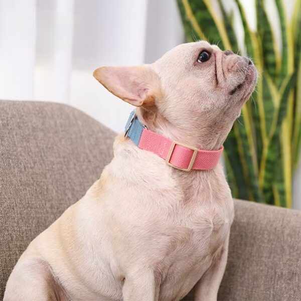 breakaway dog collars dangerous