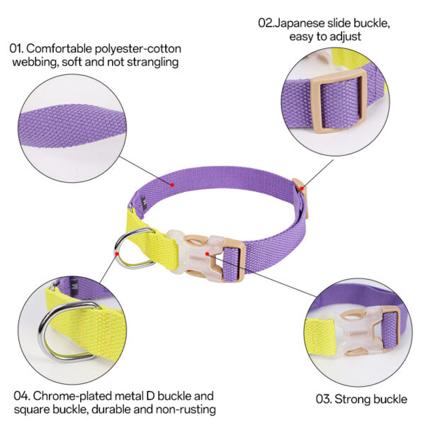 dog collar