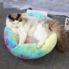 Cat Dog Bed Pet