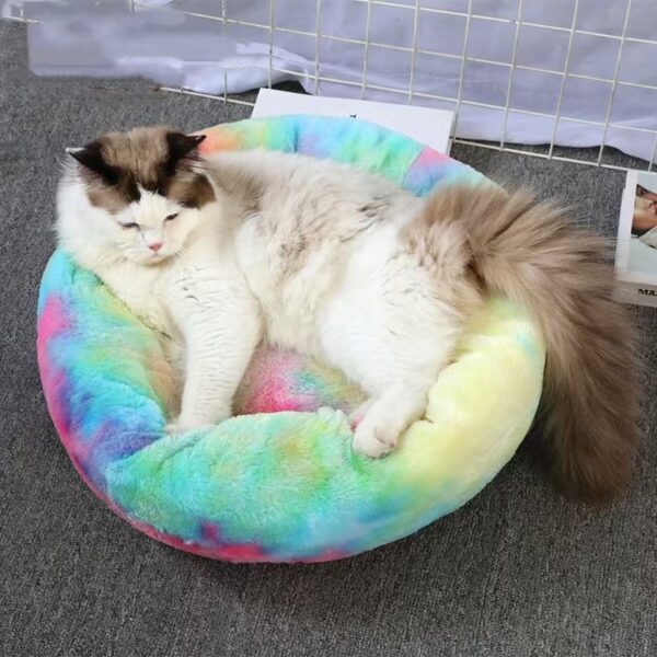 Cat Dog Bed Pet