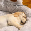 Dog Winter Nest