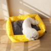 wholesale pet items