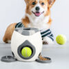 Interactive pet Toys