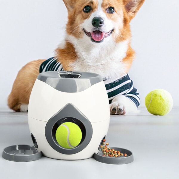 Interactive pet Toys