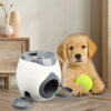 Interactive pet Toys Tennis