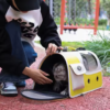 belt pet bag