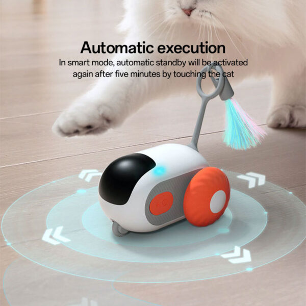 butterfly cat toy