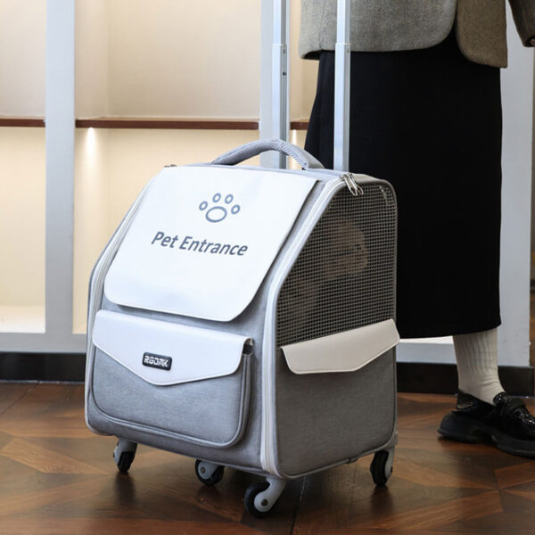 carry on pet bag