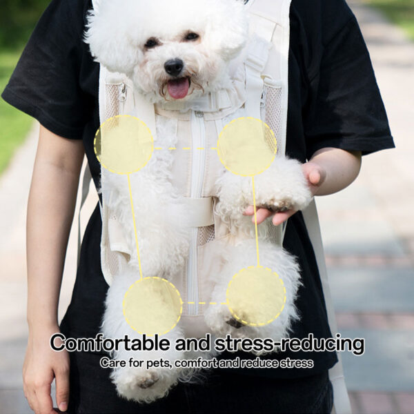 cat back pack