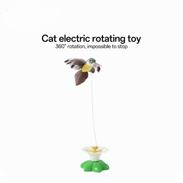 cat toys