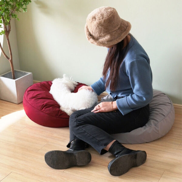 circle dog bed