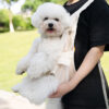 compostable dog poop bags