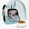 dog back pack