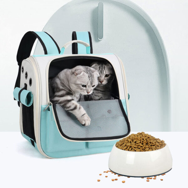 dog back pack