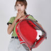 dog backpack