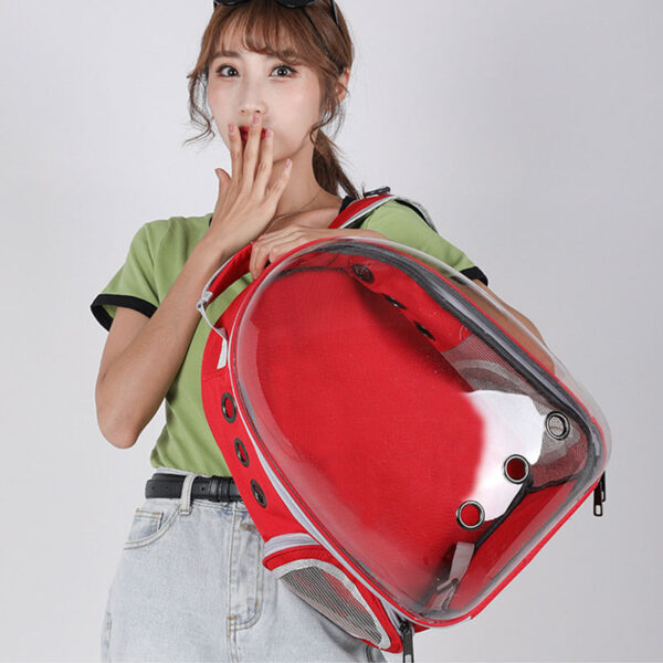 dog backpack