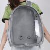 dog backpack carrier