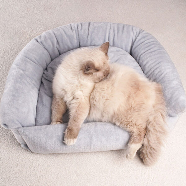 dog bed