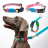 dog collar