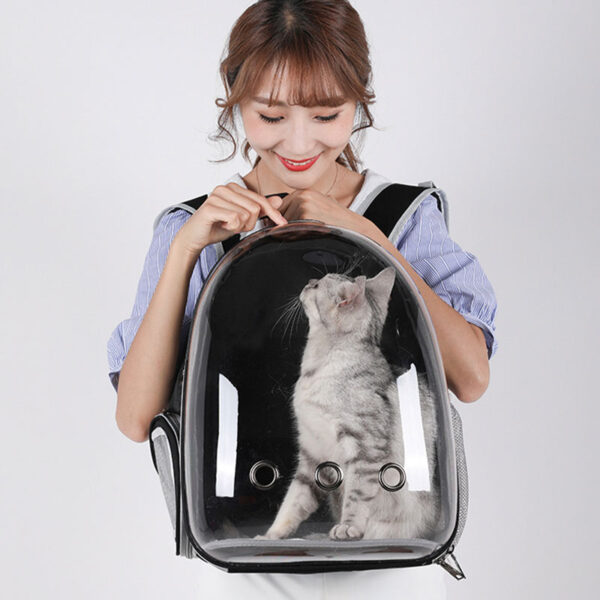 dog hiking backpack