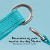 dog training collars