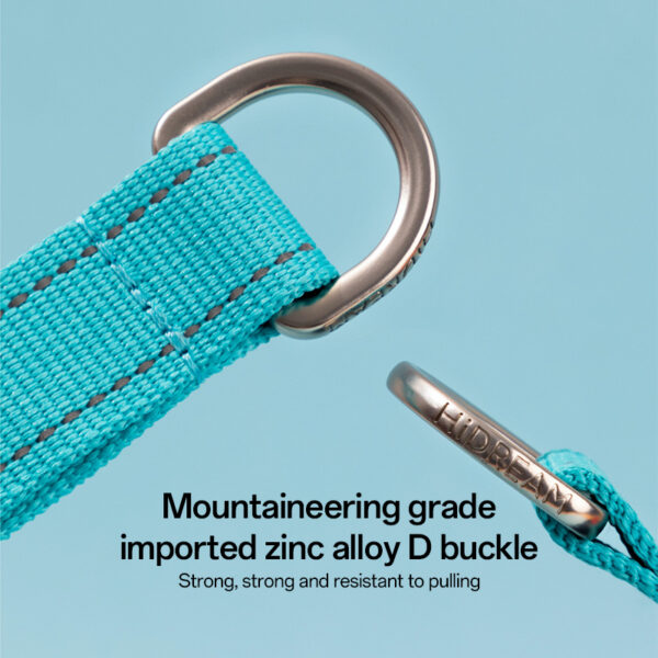 dog training collars