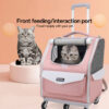 fashionable pet bag