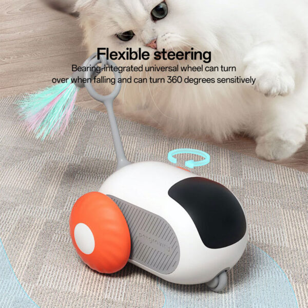 fun cat toys
