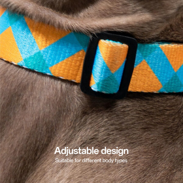 halo collar