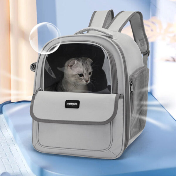 large dog backpack