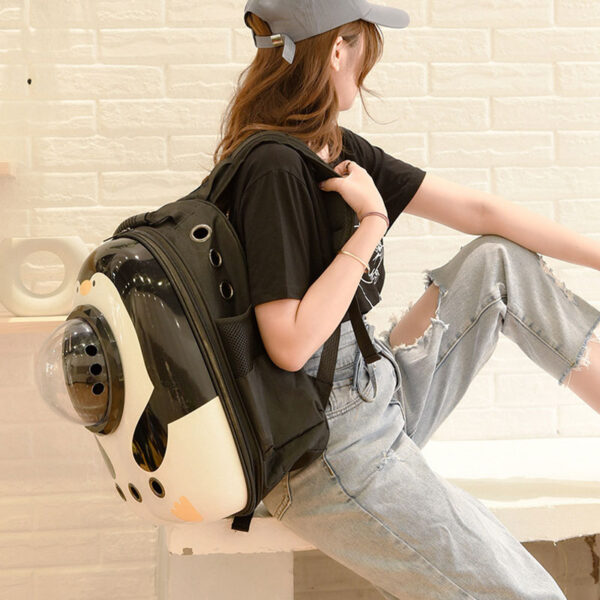 pet bag