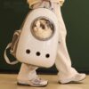 pet bag carrier