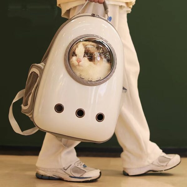 pet bag carrier