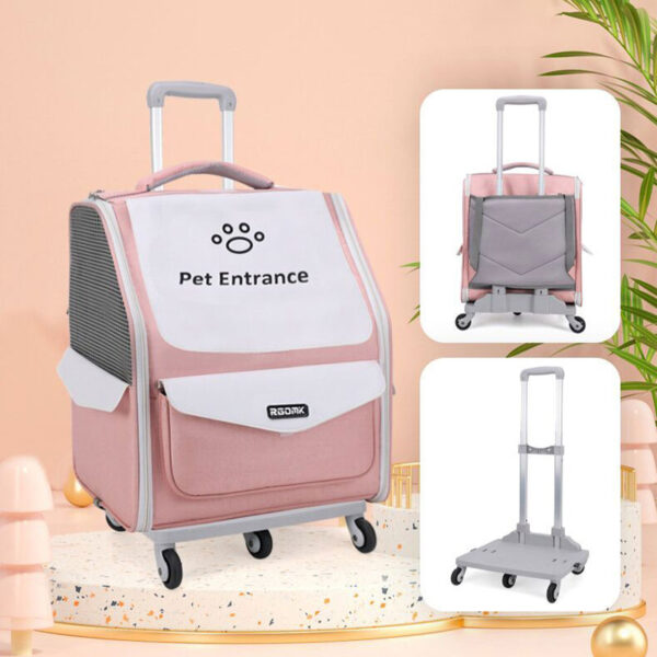 pet bag for cats