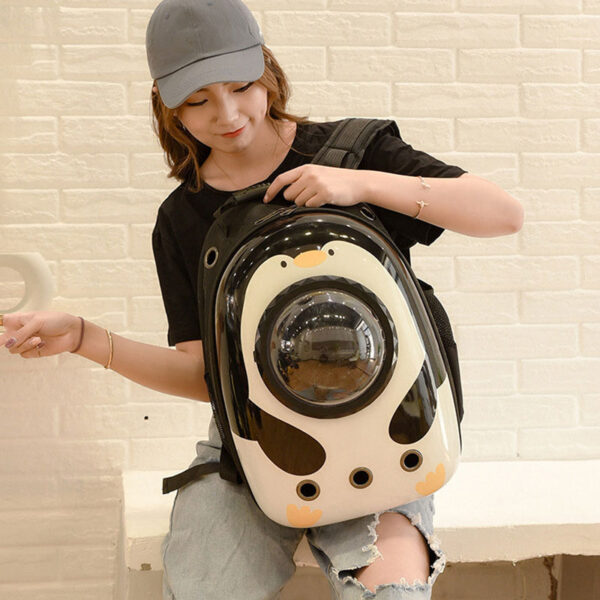 pet carrier handbag