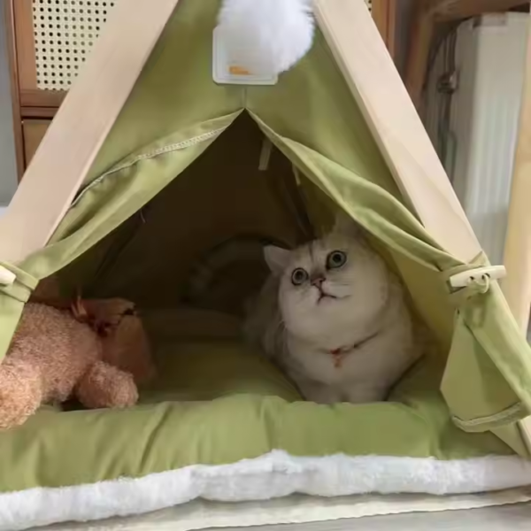 pet tent soft bed