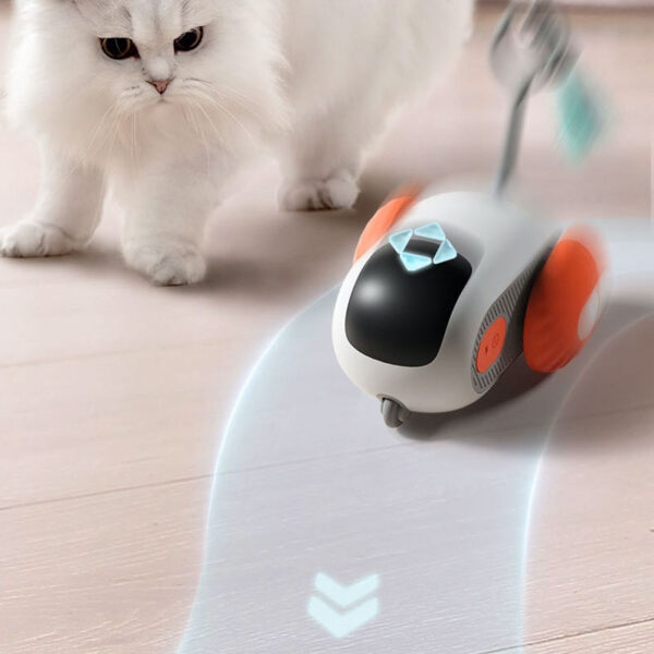 running wheel for cats