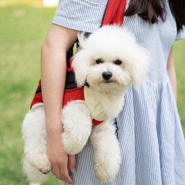 small dog backpack