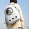 staud pet bag