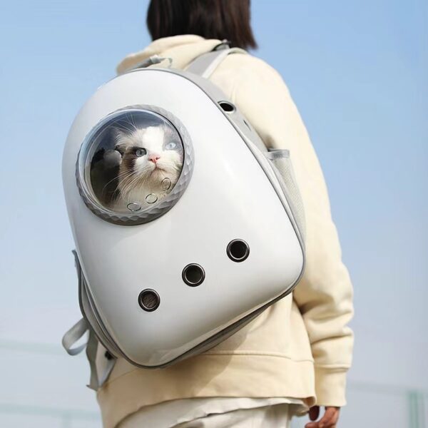 staud pet bag
