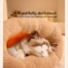 cat bed for window