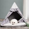 cat teepee