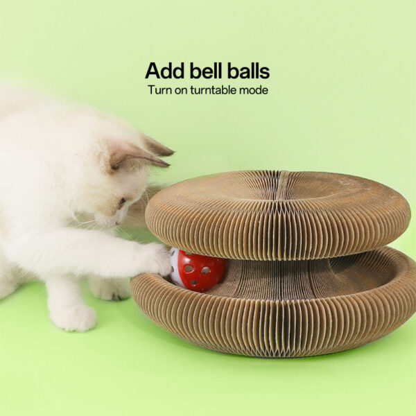 scratching board