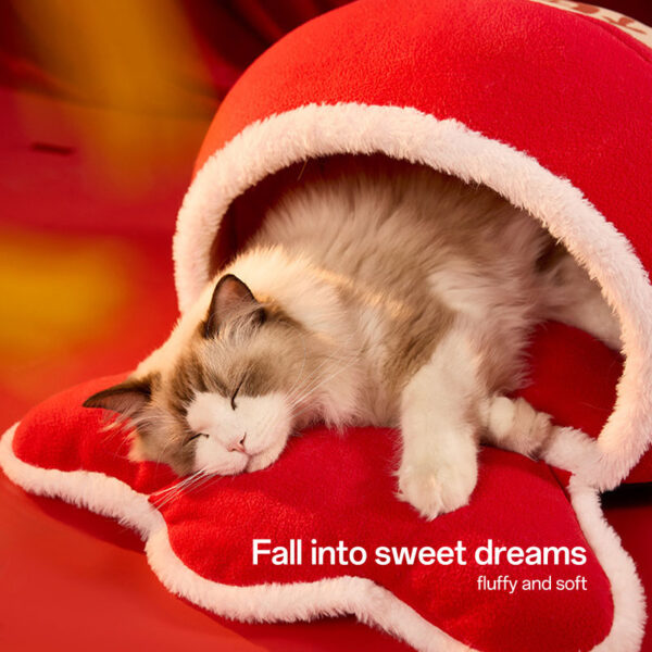 best bedding for cats