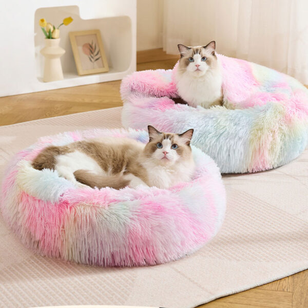 cat beds amazon