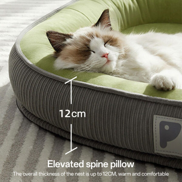 elevated dog bed