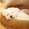 pet bed dog
