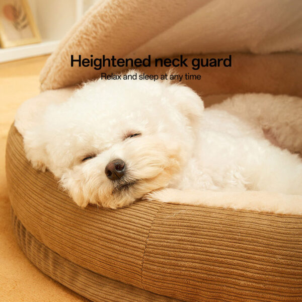 pet bed dog